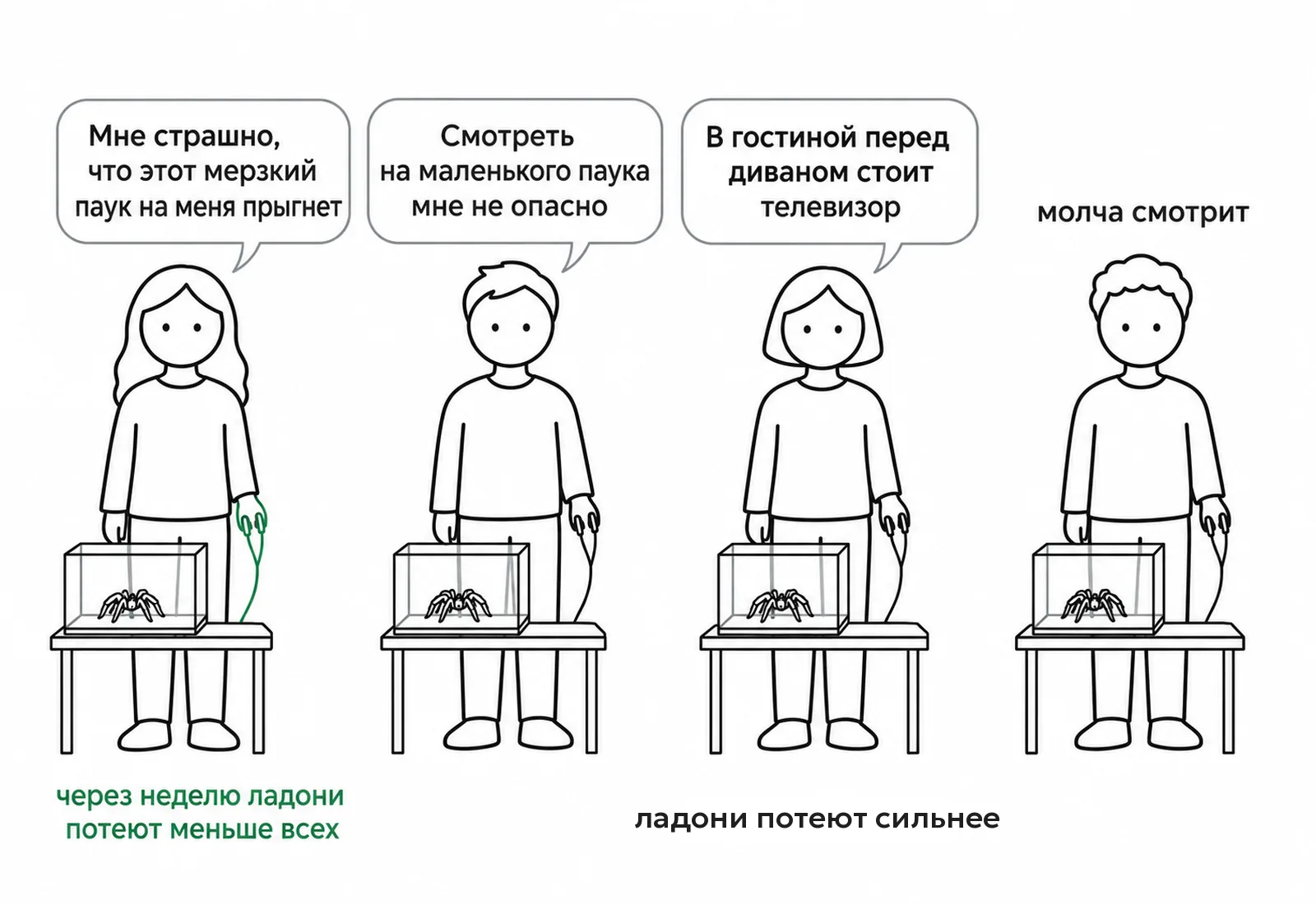 Три способа подойти к тарантулу: у тех, кто называл свои чувства, через неделю тело реагировало спокойнее