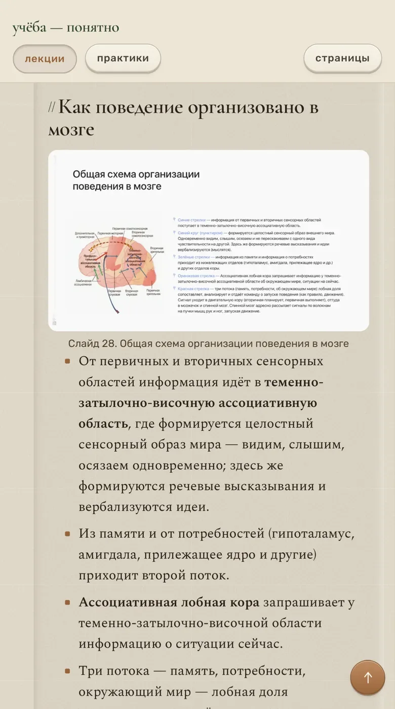 Конспект лекции со слайдом и пояснением по пунктам