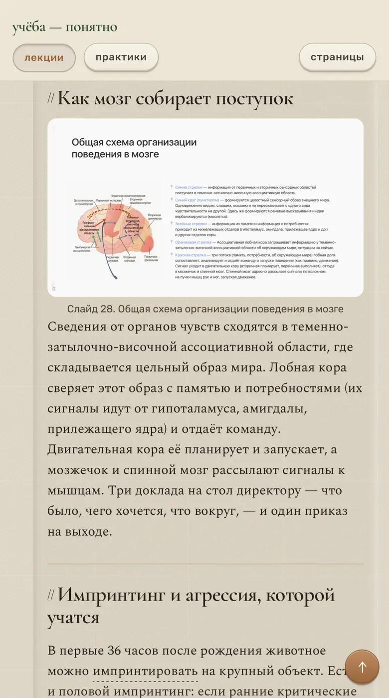Статья по той же лекции: как мозг собирает поступок