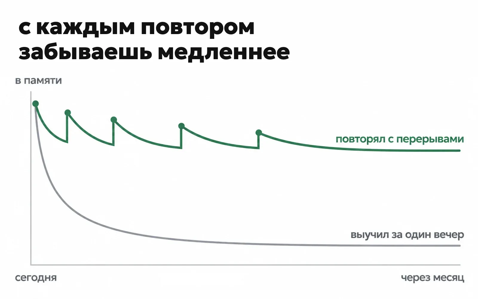 Кривая забывания: после вечера зубрёжки линия падает и стелется низко, а с повторами идёт пилой и остаётся высоко